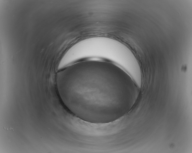 X0000096390035200802071548