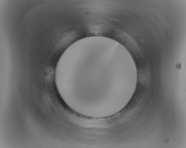 X0000096390036200802071548