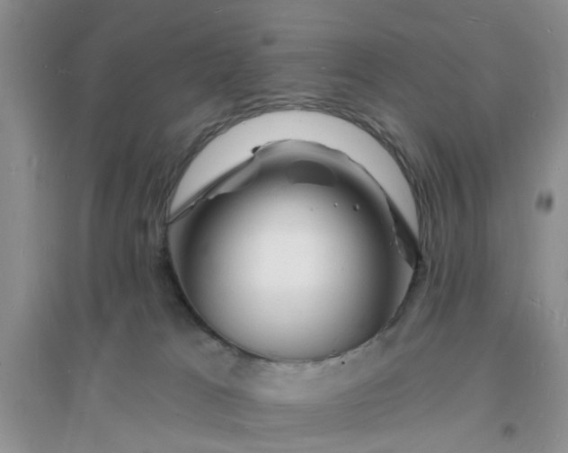X0000096390037200802071548