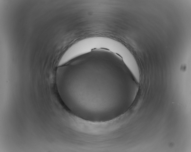 X0000096390039200802071548