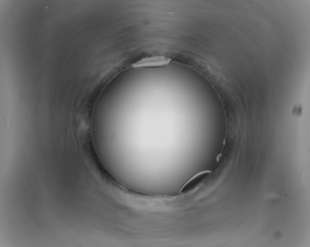 X0000096390040200802071548