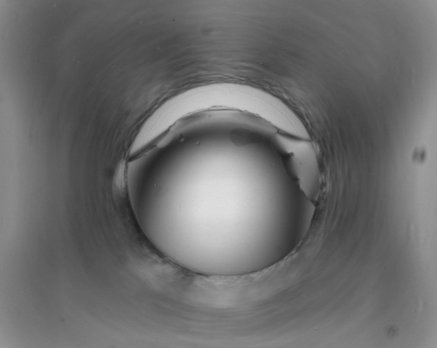 X0000096390041200802071548