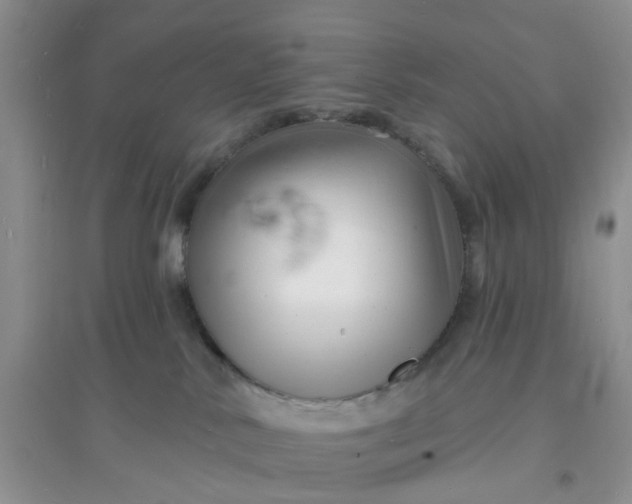 X0000096390042200802071548