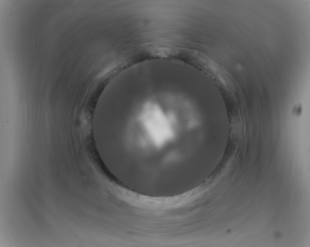 X0000096390043200802071548