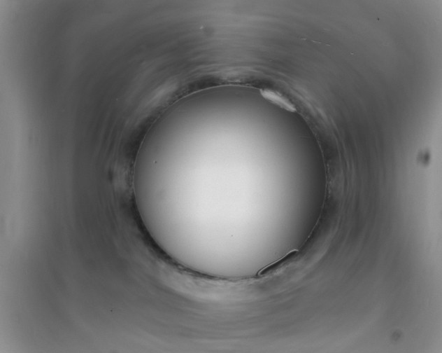 X0000096390044200802071548