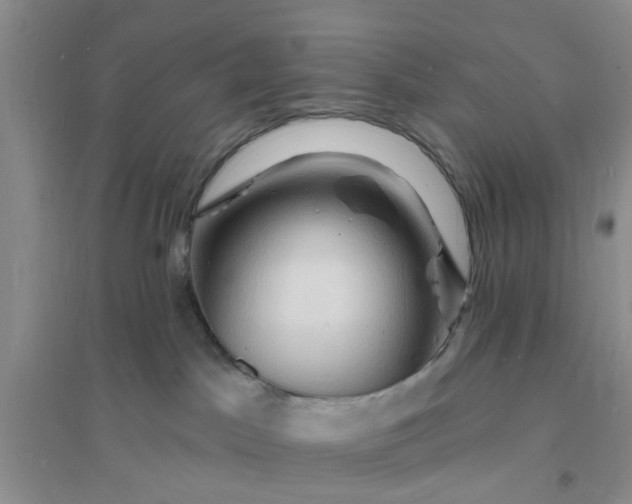 X0000096390045200802071548