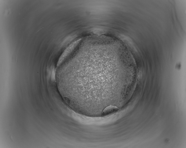 X0000096390046200802071548