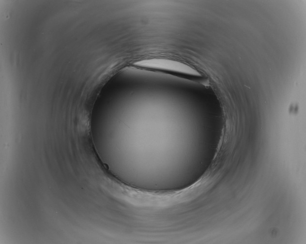 X0000096390048200802071548