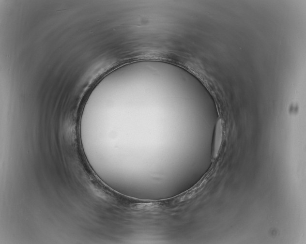 X0000096390050200802071547