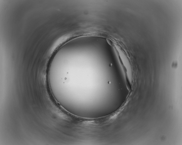 X0000096390054200802071547