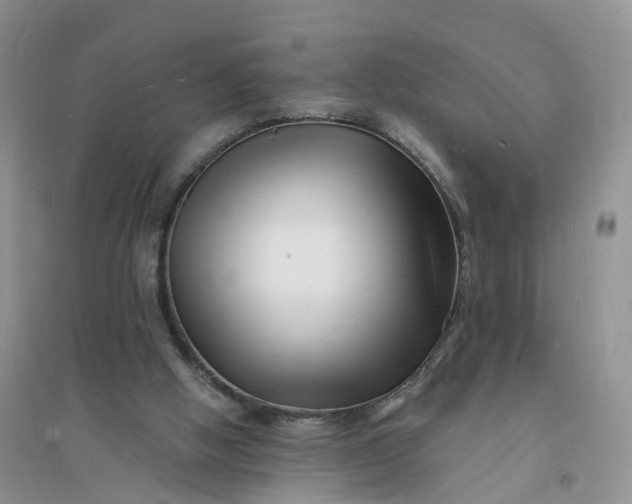 X0000096390058200802071547
