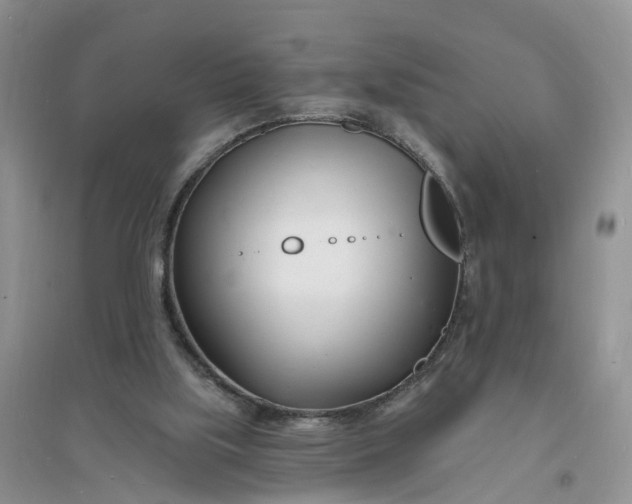 X0000096390059200802071547