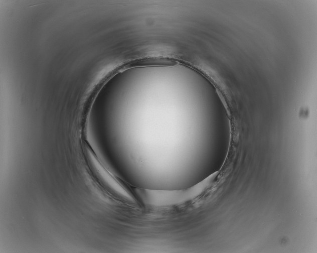 X0000096390060200802071547