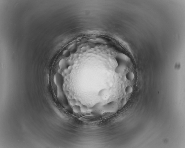 X0000096390061200802071547