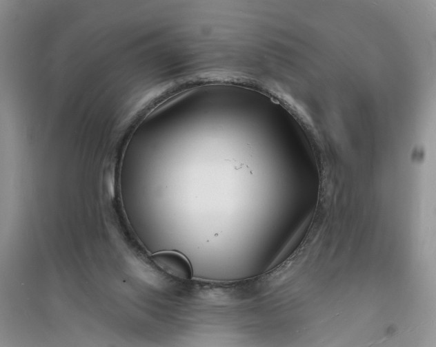 X0000096390062200802071547