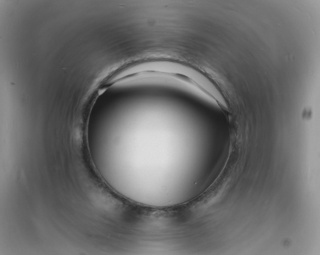 X0000096390064200802071547