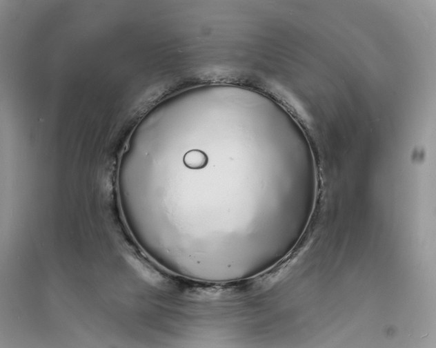 X0000096390065200802071547