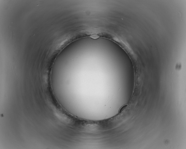 X0000096390066200802071547