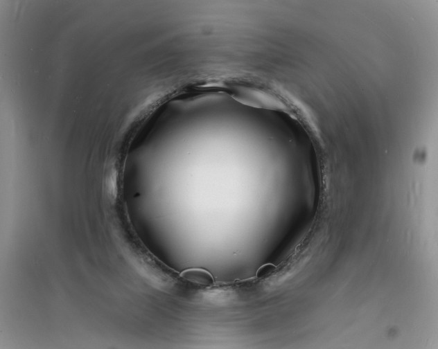 X0000096390067200802071547