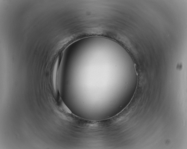 X0000096390068200802071547