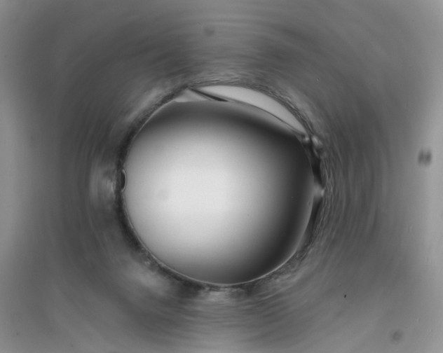 X0000096390072200802071547
