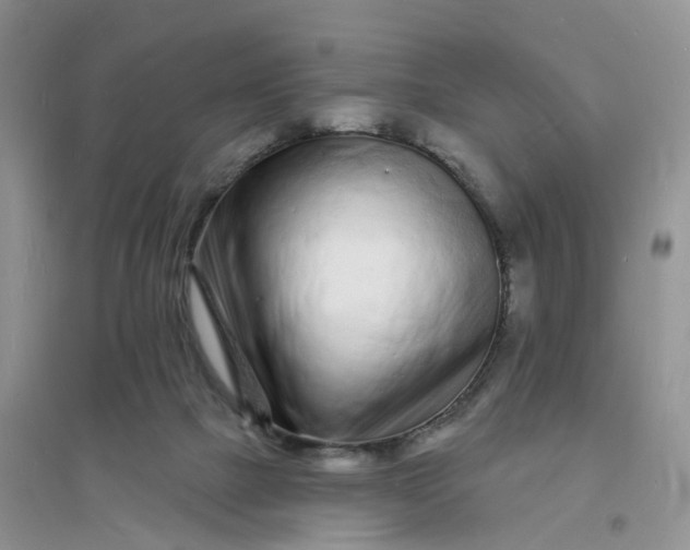X0000096390073200802071547
