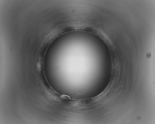 X0000096390074200802071547