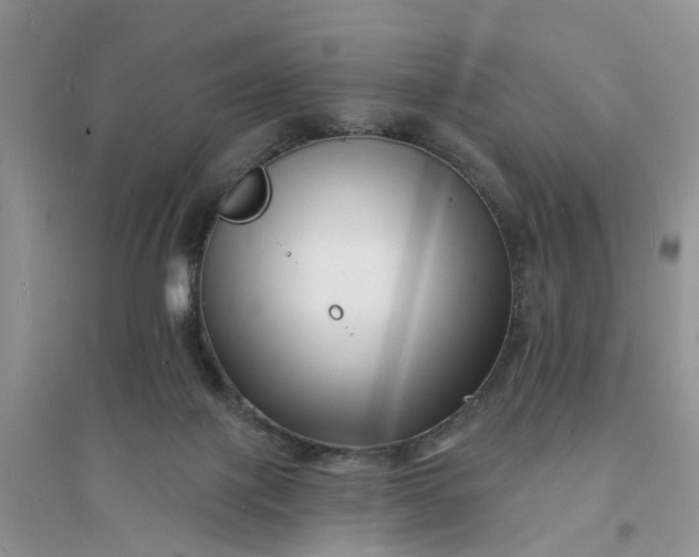 X0000096390075200802071547