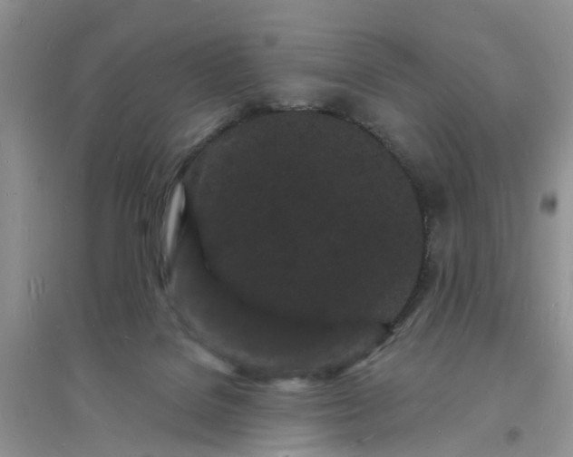 X0000096390076200802071547