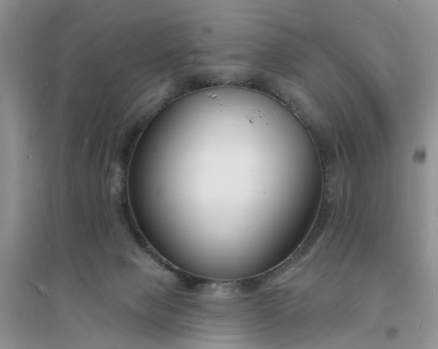 X0000096390077200802071547