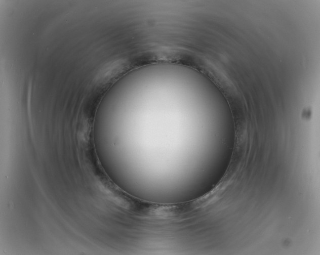 X0000096390078200802071547