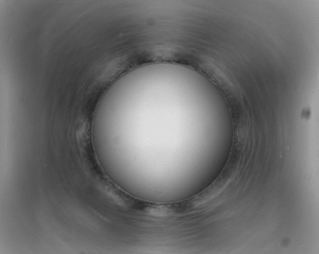 X0000096390079200802071547