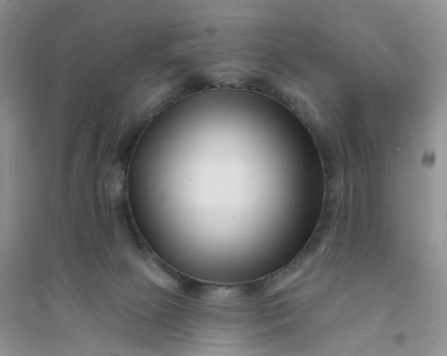 X0000096390081200802071547
