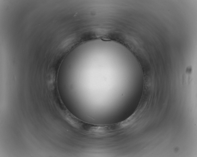 X0000096390082200802071547