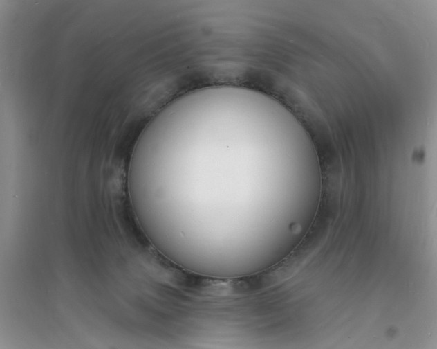 X0000096390083200802071547