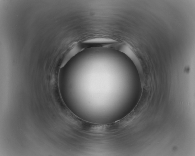 X0000096390084200802071547