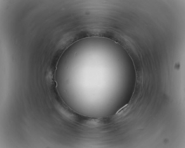 X0000096390086200802071547