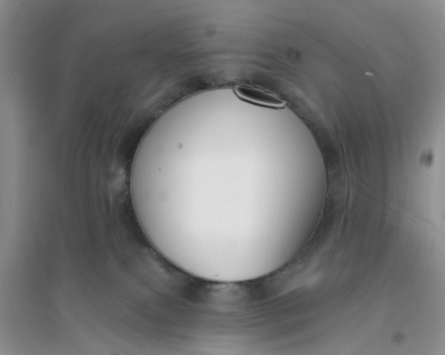 X0000096390087200802071548