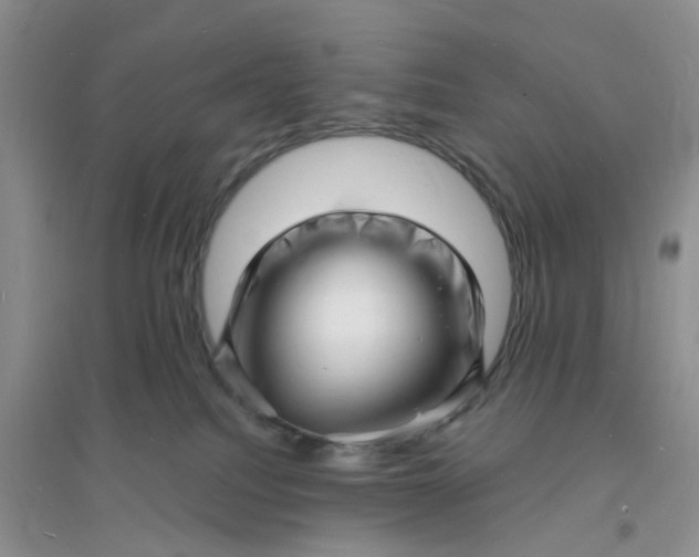 X0000096390088200802071548
