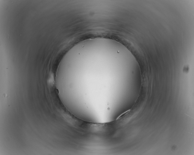 X0000096390089200802071548
