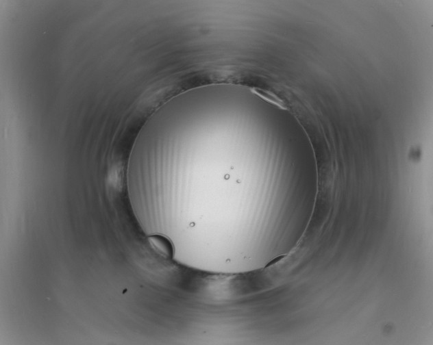 X0000096390090200802071548