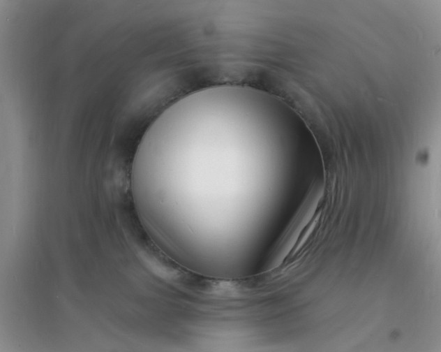 X0000096390091200802071548