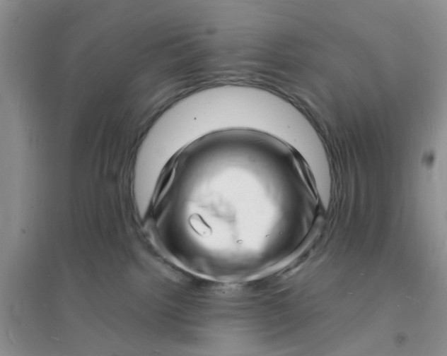 X0000096390092200802071548