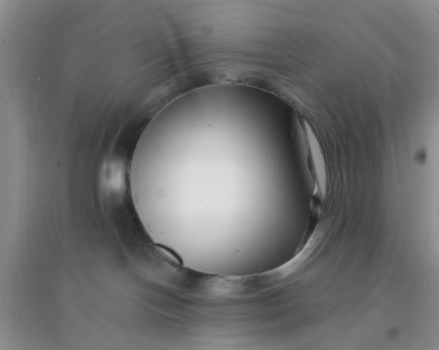 X0000096390094200802071548