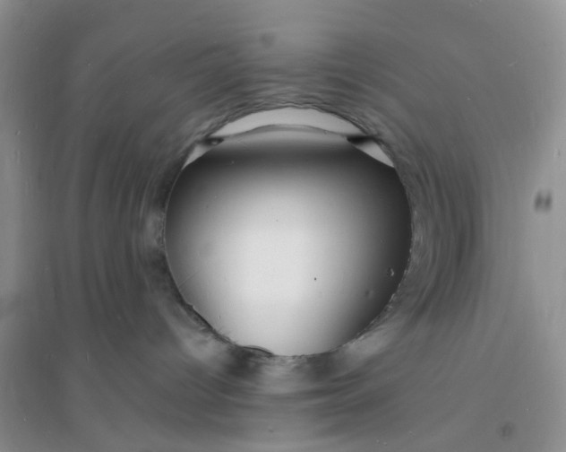 X0000096390096200802071548