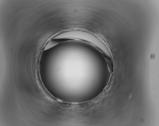 X0000096390097200802071547