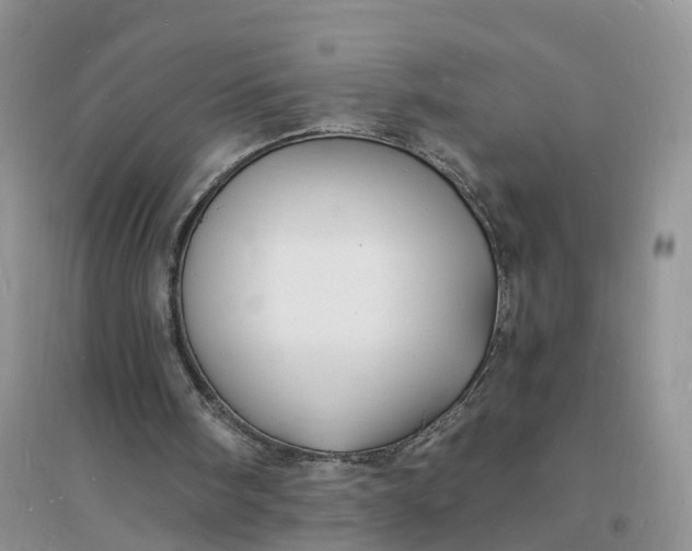 X0000096390098200802071547