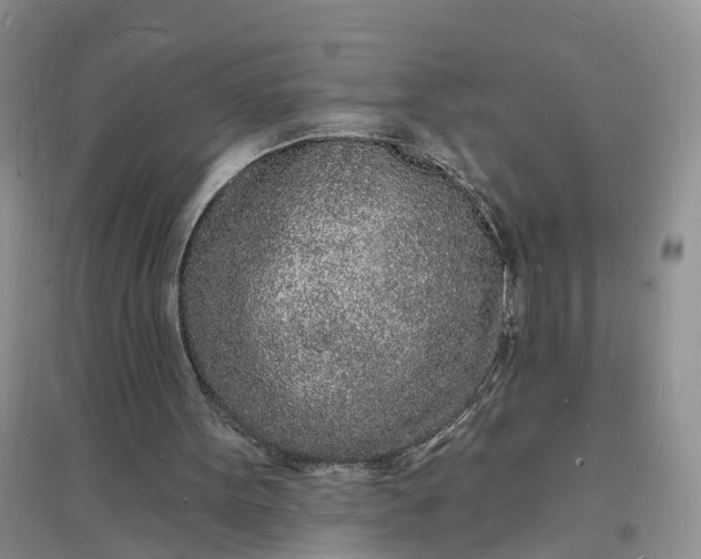 X0000096390099200802071547