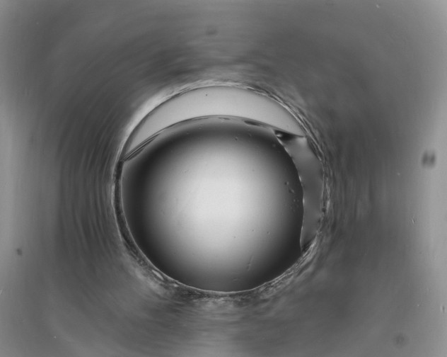 X0000096390100200802071547