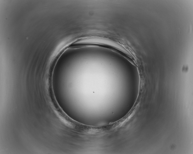 X0000096390101200802071547